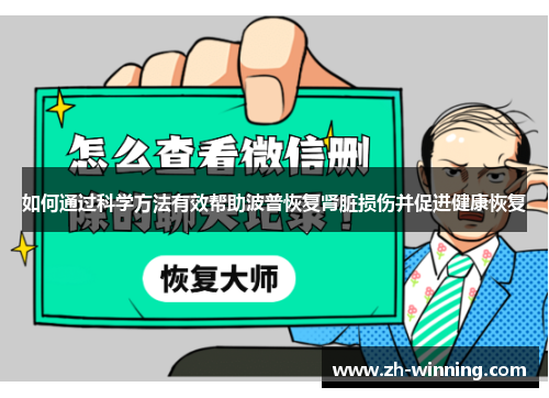 如何通过科学方法有效帮助波普恢复肾脏损伤并促进健康恢复