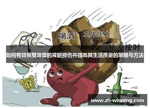 如何有效恢复波普的肾脏损伤并提高其生活质量的策略与方法